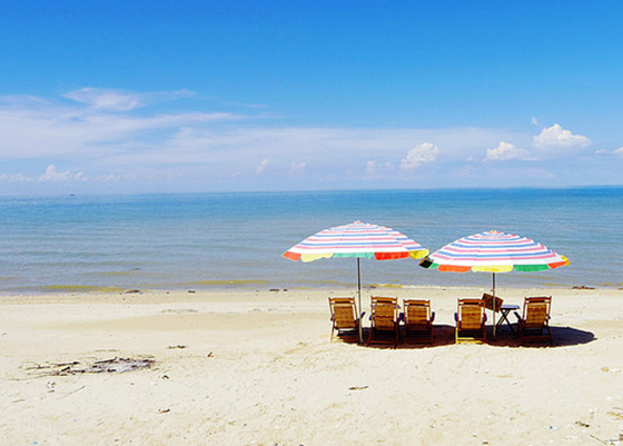 �������������ލu���V������������