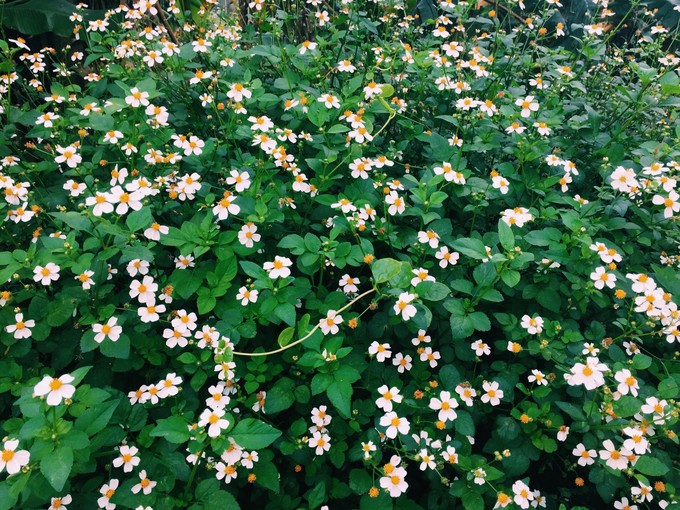 ���ލu�������������V������������