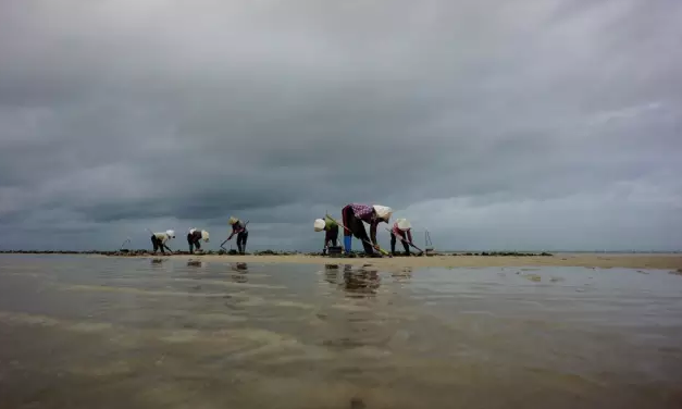 �������أ��V������������