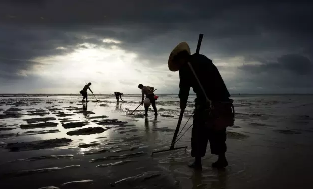 �����������V������������