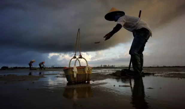 �����������V������������