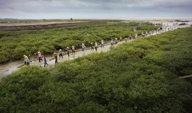 �����������V������������