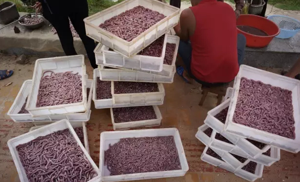 �����������V������������