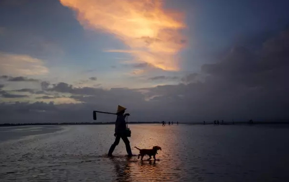 �����������V������������