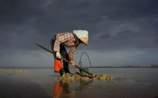 �����������V������������