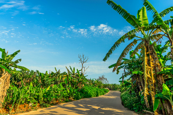 �����������V������������