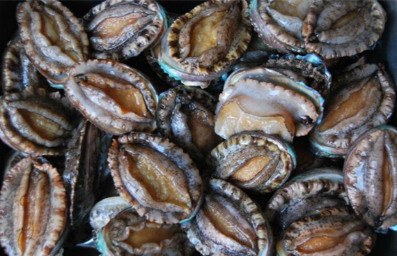 ���������r���V������������