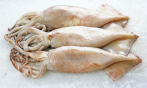 ���������r���V������������