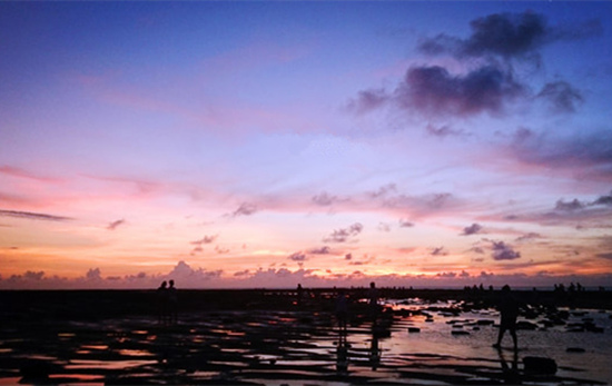 ���������ލu���V������������