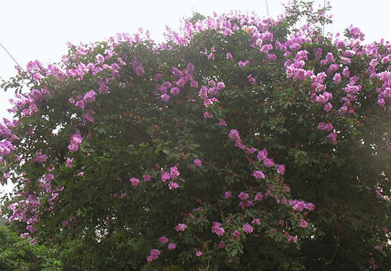 �����������V������������