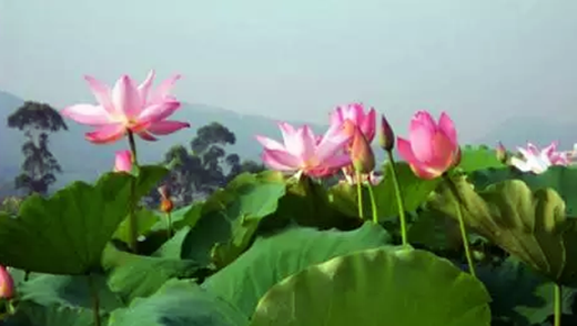 �����������V������������