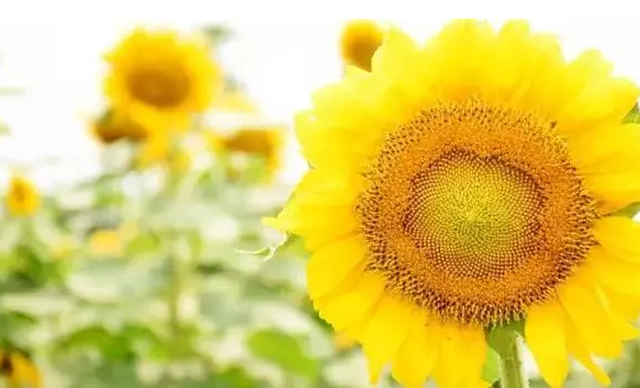 �����������V������������