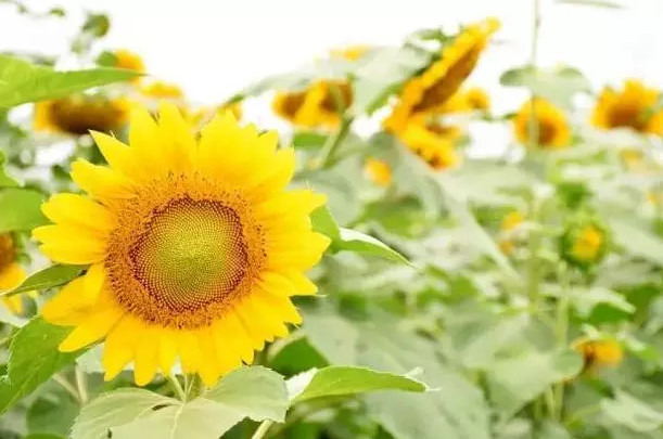 �����������V������������