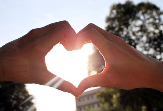 �����������V������������