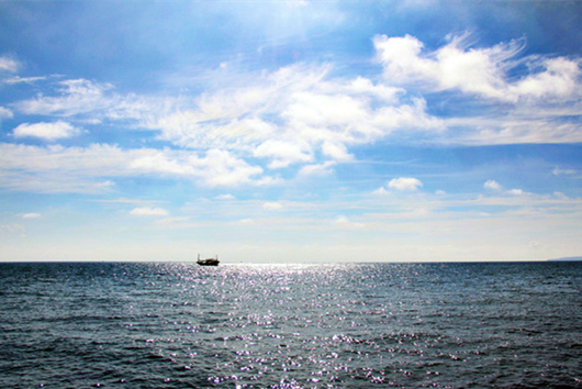 ���������������V������������