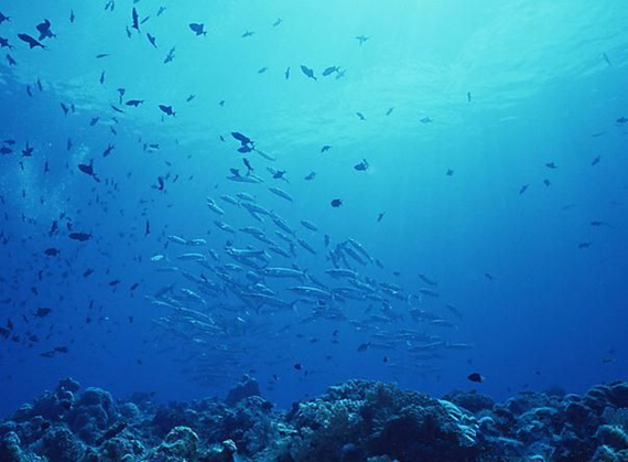 ���������������V������������