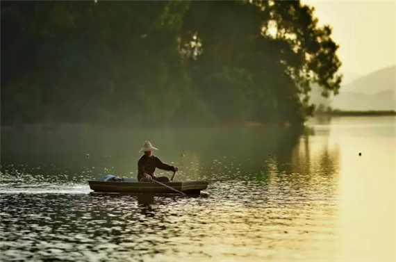 �����������V������������