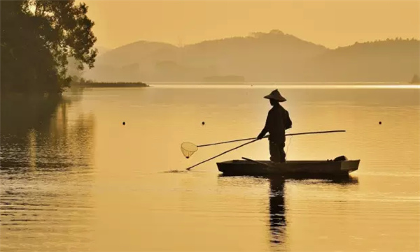 �����������V������������