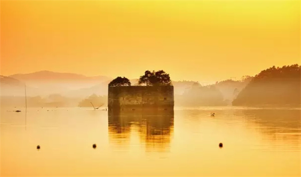 �����������V������������