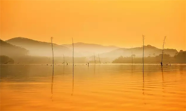 �����������V������������