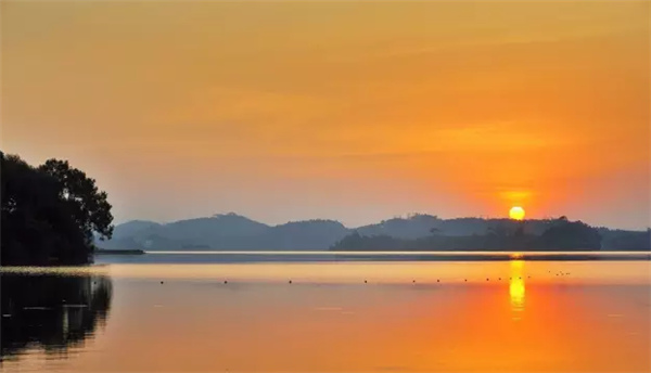 �������Σ��V������������