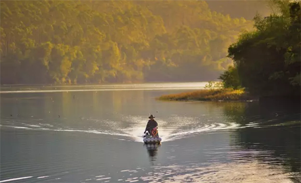 �����������V������������