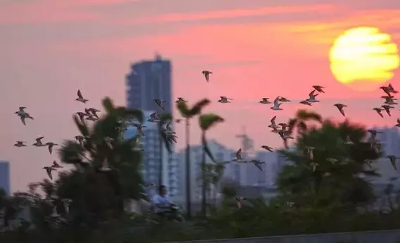 �����������V������������