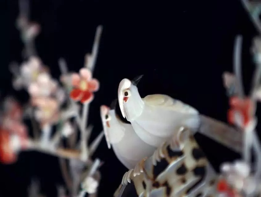 �����������V������������