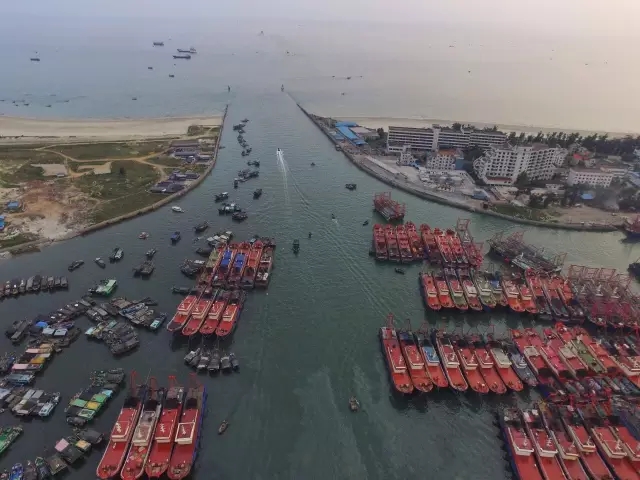 �����������������V������������