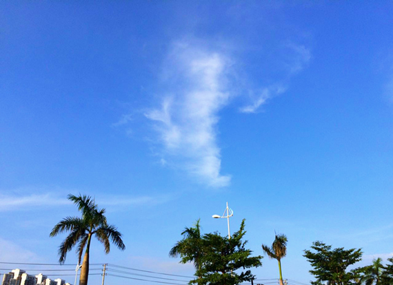 �������V������������