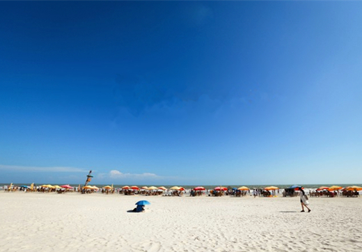 �������V������������