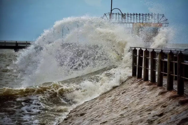 �������V������������