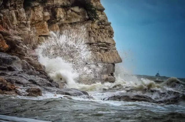 �������V������������