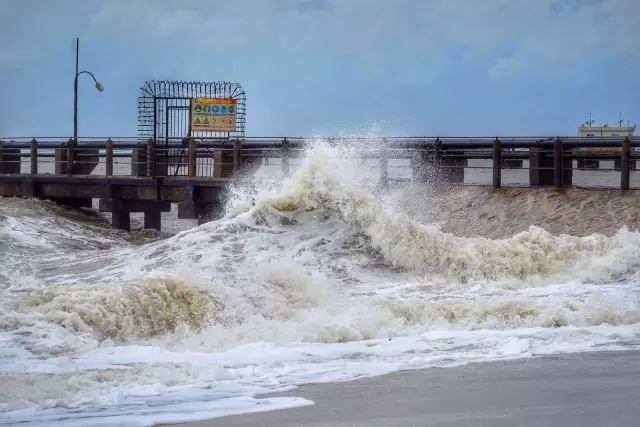 �������V������������