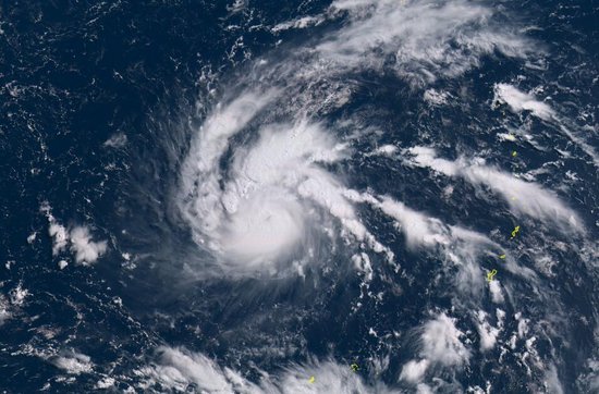 �������V������������