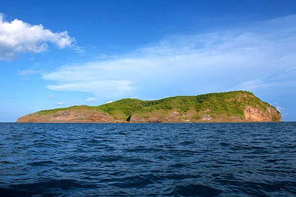 �����������V������������