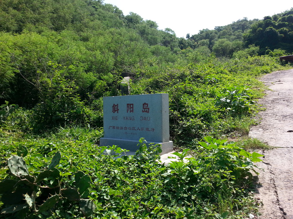 �����������V������������