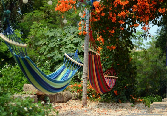 ���ލu�������V������������