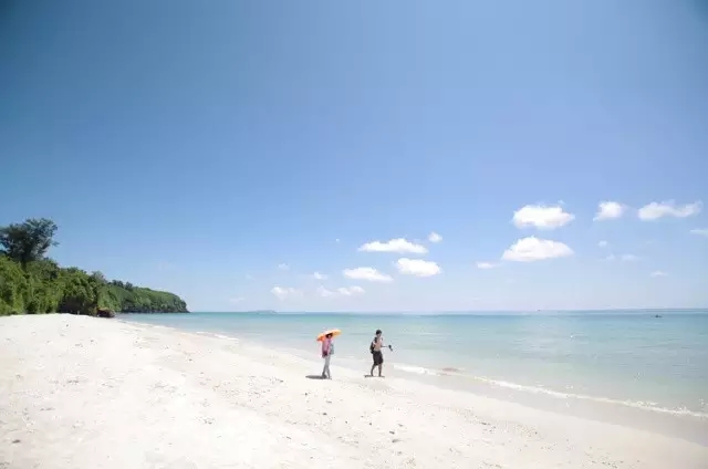 ���ލu�������V������������