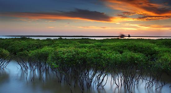 �����������V������������