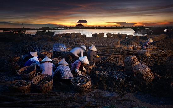 �����������V������������