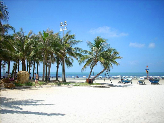 �����������V������������