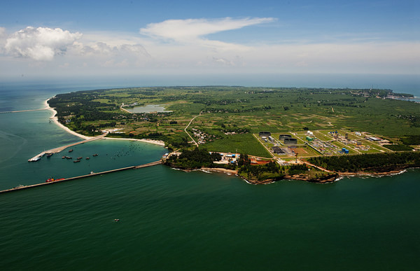 ���ލu�������V������������