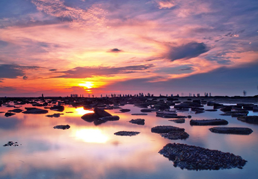 ���ލu�������V������������