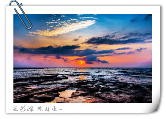 ���ލu�������V������������