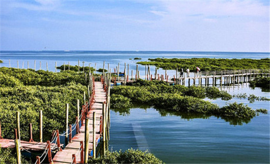 �����������V������������