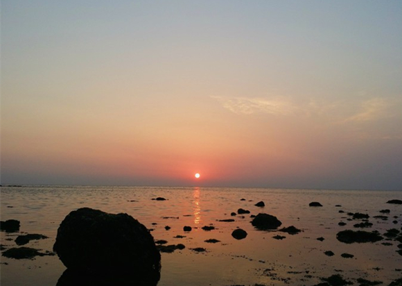 �����������V������������