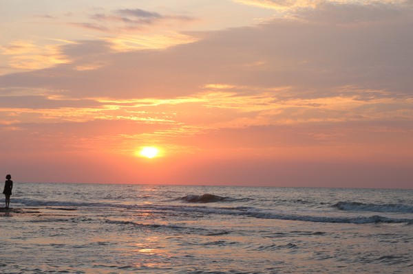 �������Σ��V������������