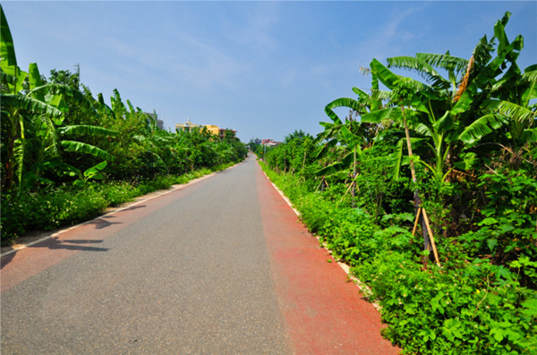 �������ލu���V������������