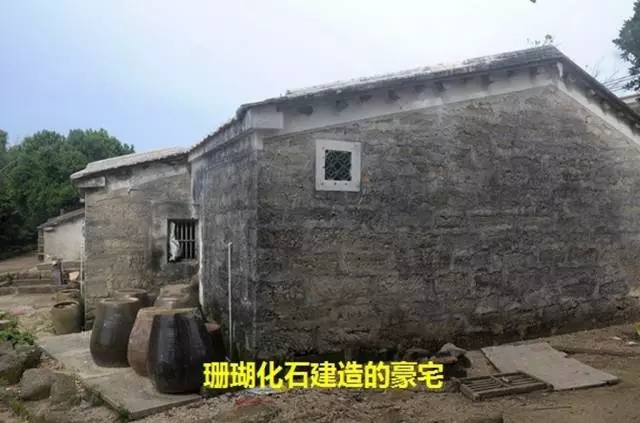 ���ލu��ɺ��ʯ���V������������